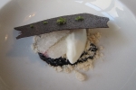 roganic_pudding1