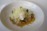 roganic_pudding2