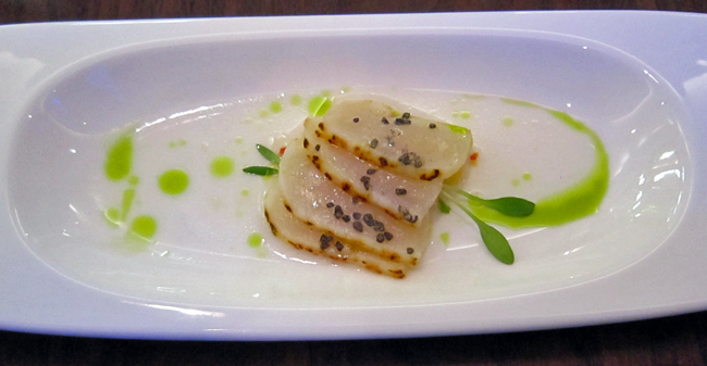 John Campbell Ppop up Scallop