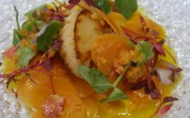 Tom_Aikens_Scallop-600x500