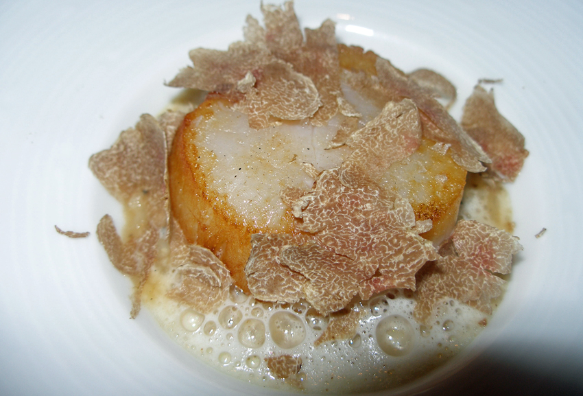 Martin Wishart Scallop